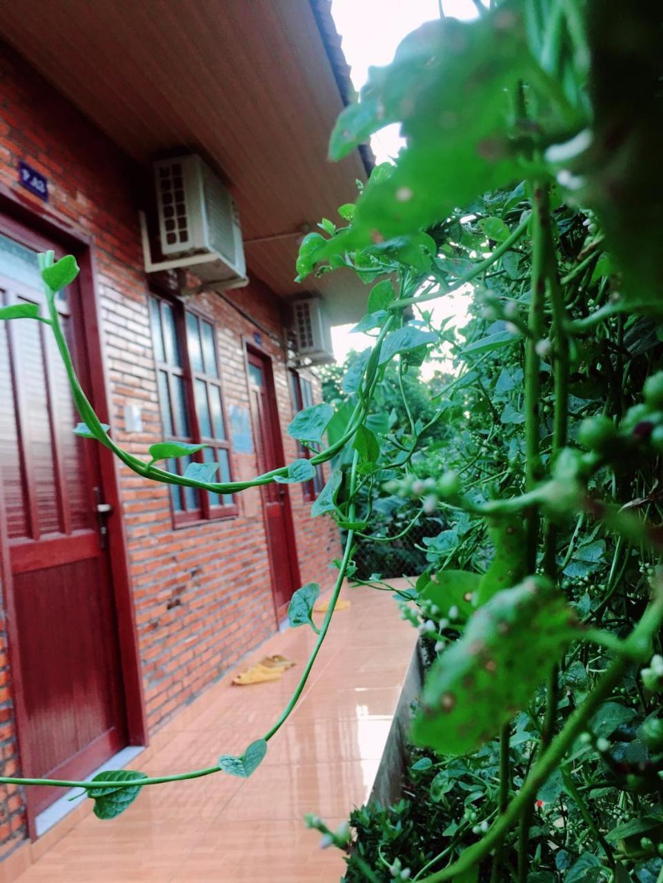 Nam Cat Tien Homestay מראה חיצוני תמונה